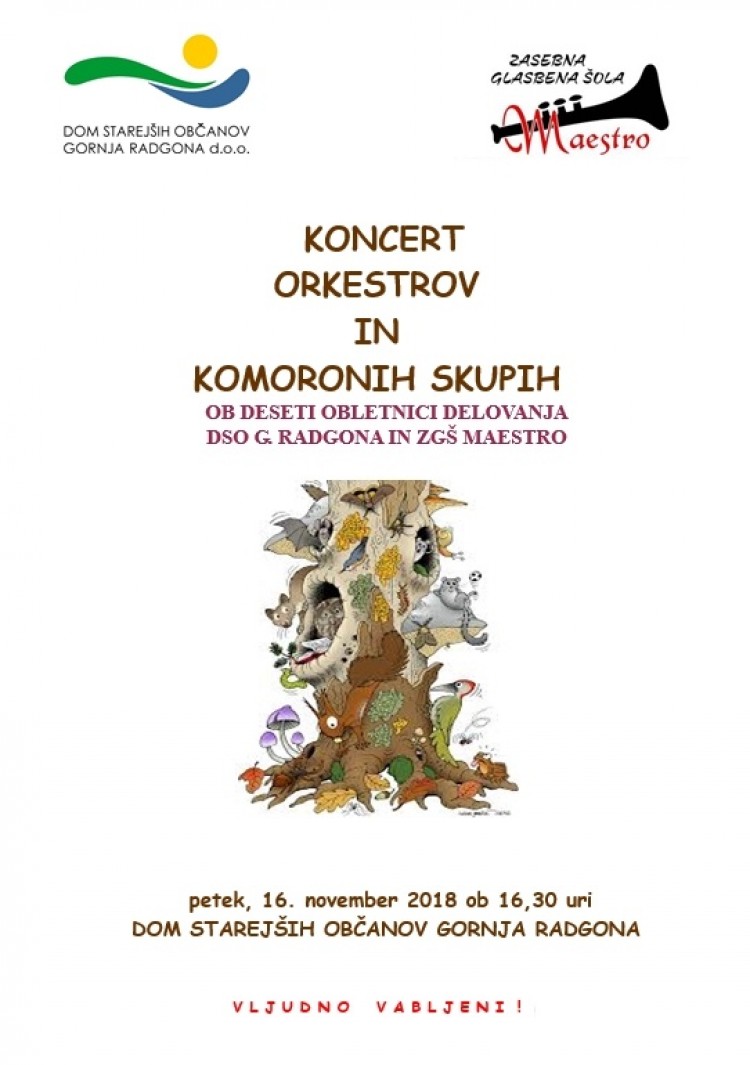 Koncert orkestrov in komornih skupin ob 10 let delovanja DSO GR in ZGŠ Maestro