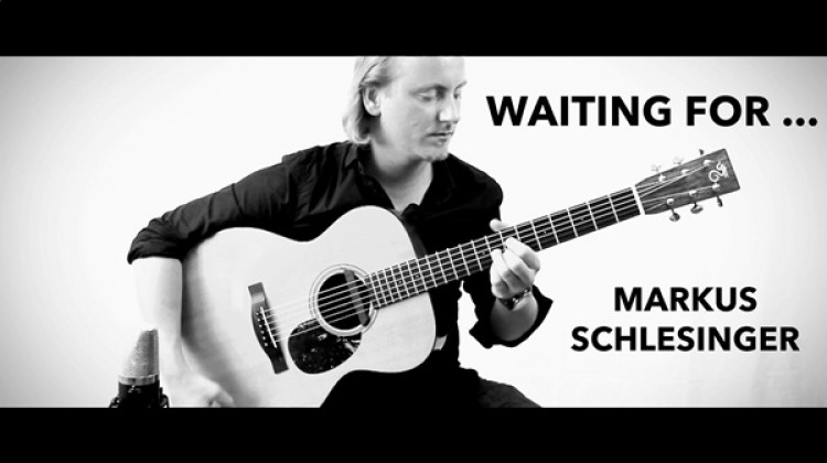 Markus Schlesinger: Fingerstyle Acoustic Guitar